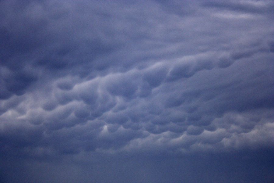 mammatus mammatus_cloud : Schofields, NSW   4 October 2008