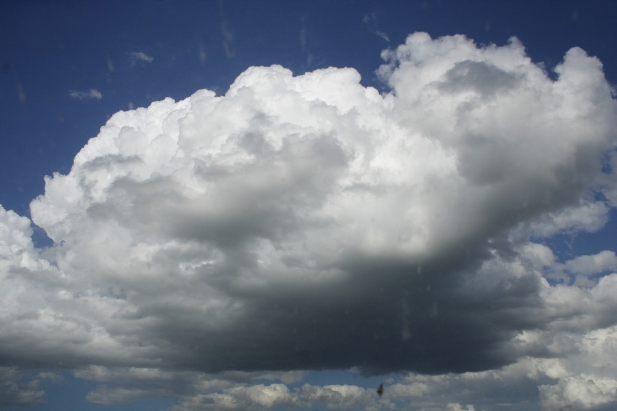 cumulus mediocris : Merriwa, NSW   5 October 2008