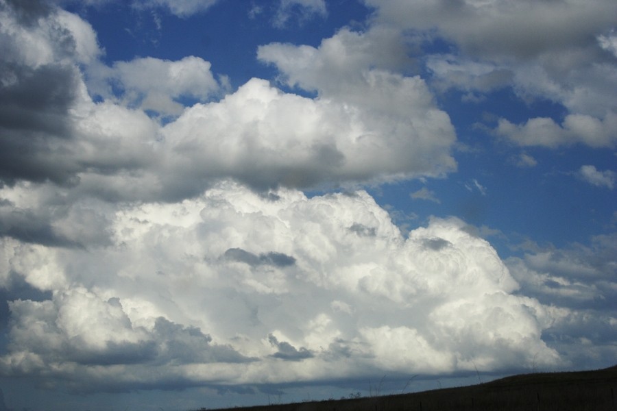 cumulus mediocris : Merriwa, NSW   5 October 2008