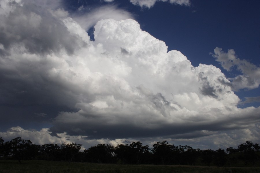 thunderstorm cumulonimbus_calvus : E of Merriwa, NSW   5 October 2008