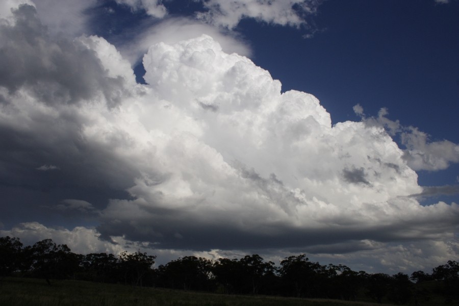 updraft thunderstorm_updrafts : E of Merriwa, NSW   5 October 2008