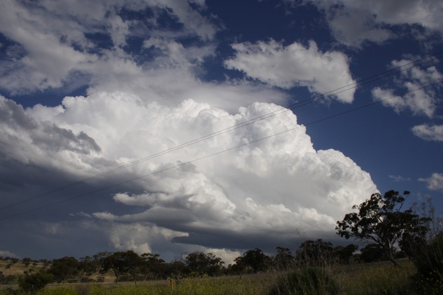 thunderstorm cumulonimbus_calvus : E of Merriwa, NSW   5 October 2008