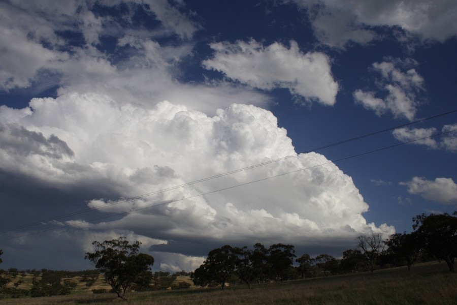 thunderstorm cumulonimbus_calvus : E of Merriwa, NSW   5 October 2008