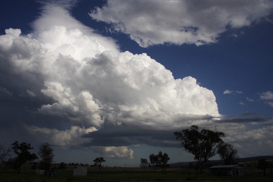 updraft thunderstorm_updrafts : between Scone and Merriwa, NSW   5 October 2008