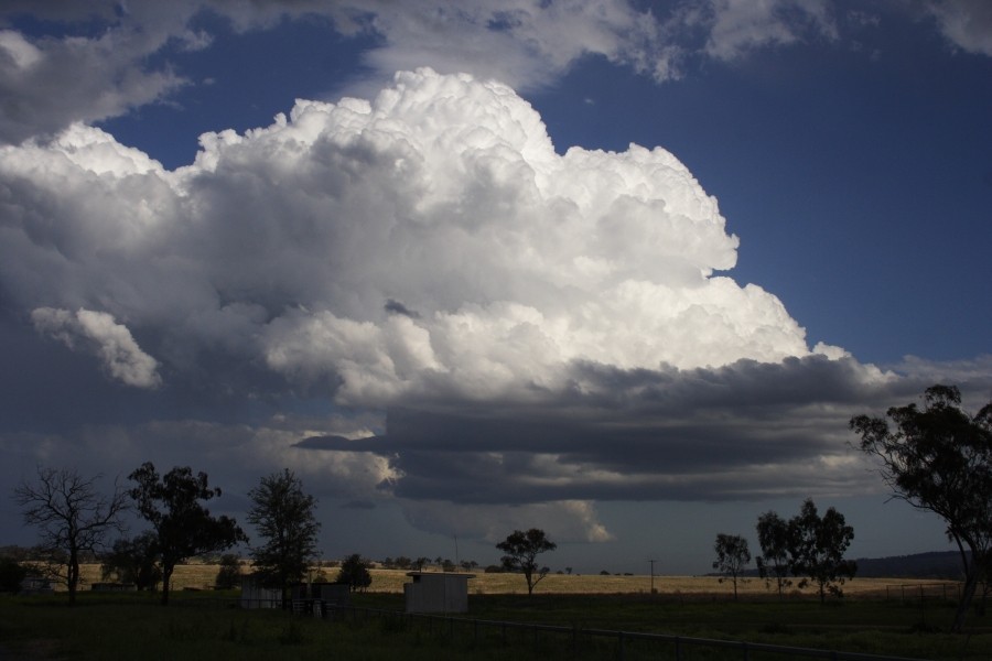 thunderstorm cumulonimbus_calvus : between Scone and Merriwa, NSW   5 October 2008