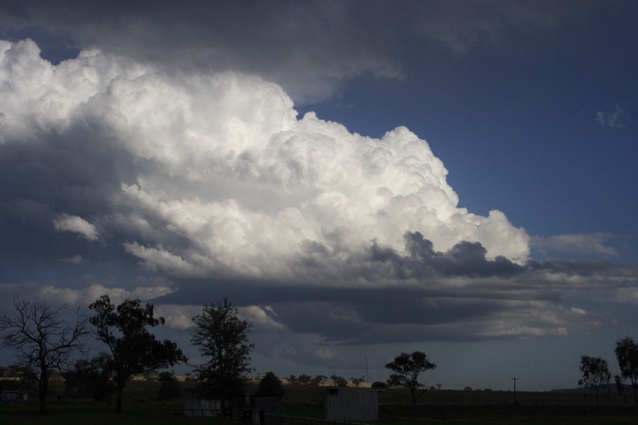 updraft thunderstorm_updrafts : between Scone and Merriwa, NSW   5 October 2008