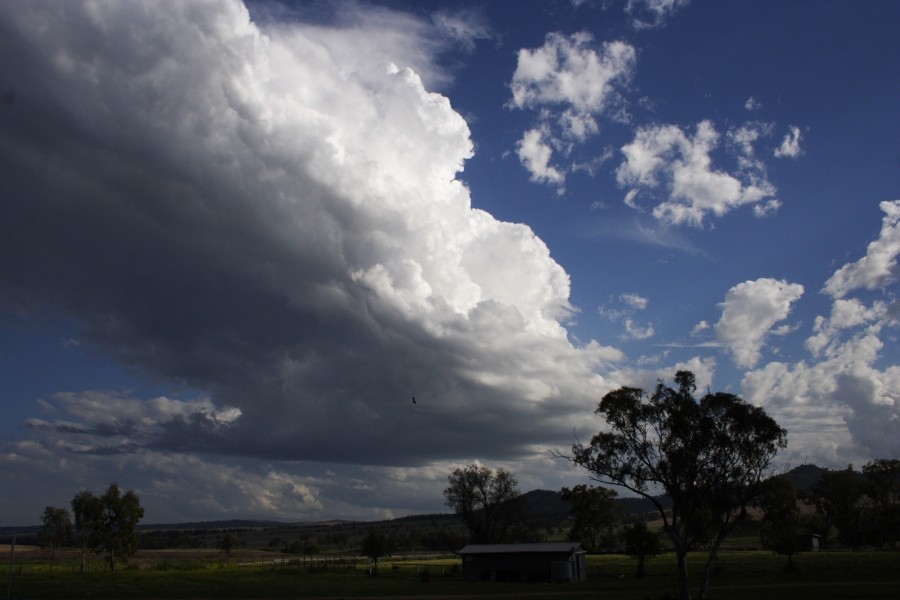 inflowband thunderstorm_inflow_band : between Scone and Merriwa, NSW   5 October 2008