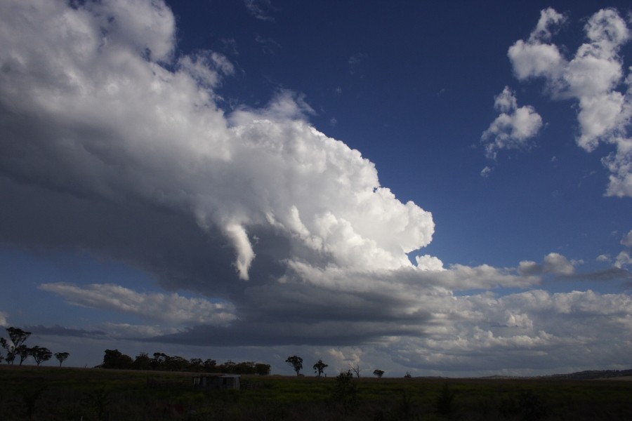 inflowband thunderstorm_inflow_band : between Scone and Merriwa, NSW   5 October 2008