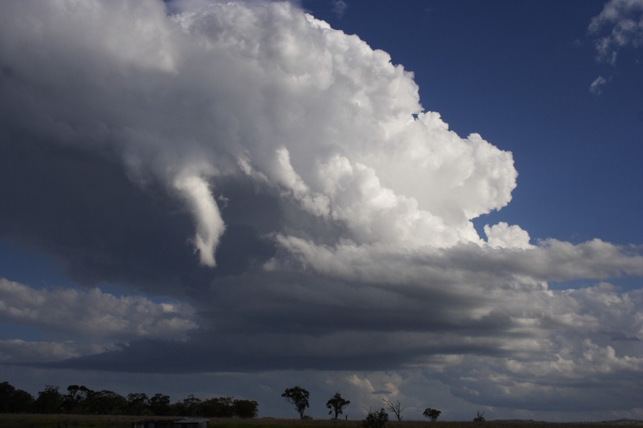 thunderstorm cumulonimbus_calvus : between Scone and Merriwa, NSW   5 October 2008