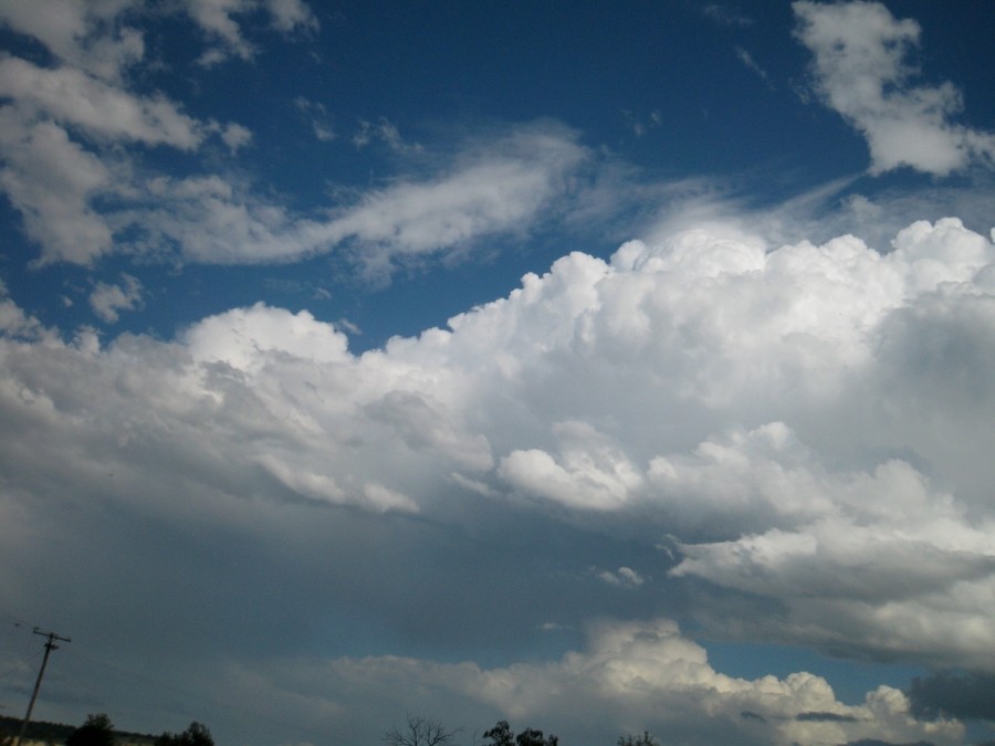 anvil thunderstorm_anvils : between Scone and Merriwa, NSW   5 October 2008