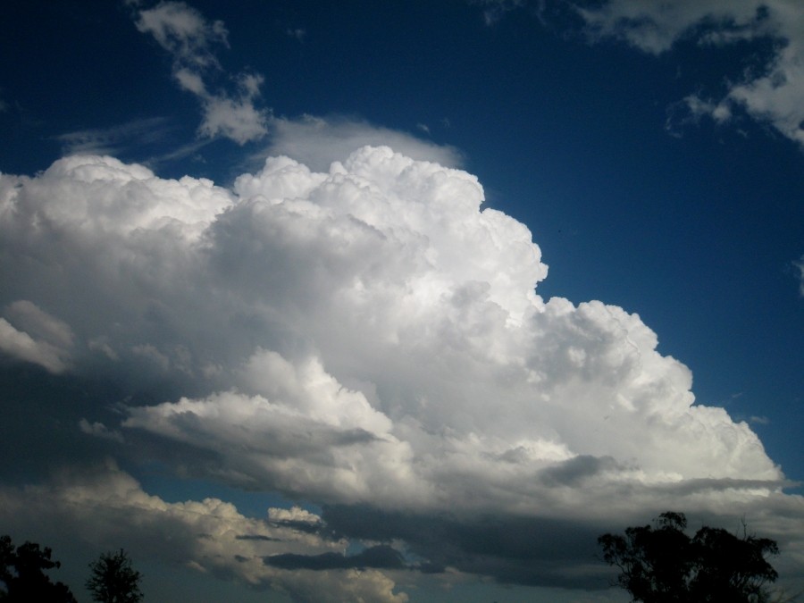 updraft thunderstorm_updrafts : between Scone and Merriwa, NSW   5 October 2008