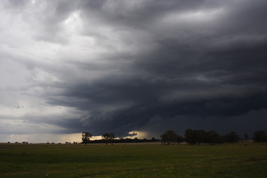 cumulonimbus thunderstorm_base : Dunedoo, NSW   10 October 2008