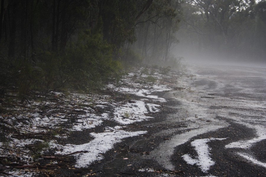 hailstones hail_stones : NE of Mudgee, NSW   10 October 2008