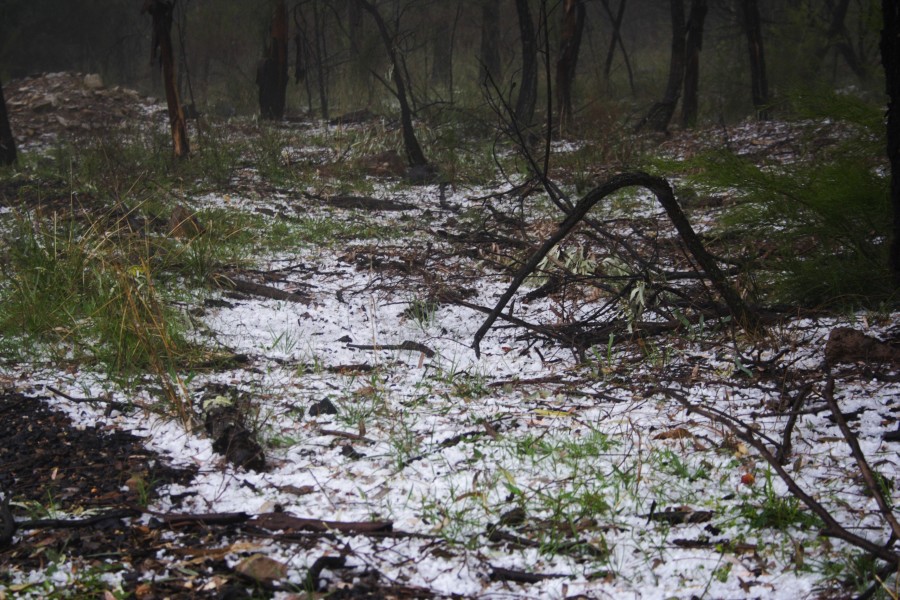 hailstones hail_stones : NE of Mudgee, NSW   10 October 2008