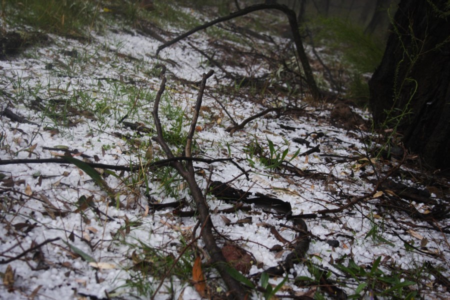 hailstones hail_stones : NE of Mudgee, NSW   10 October 2008