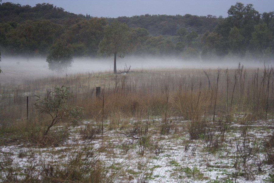 fogmist fog_mist_frost : NE of Mudgee, NSW   10 October 2008