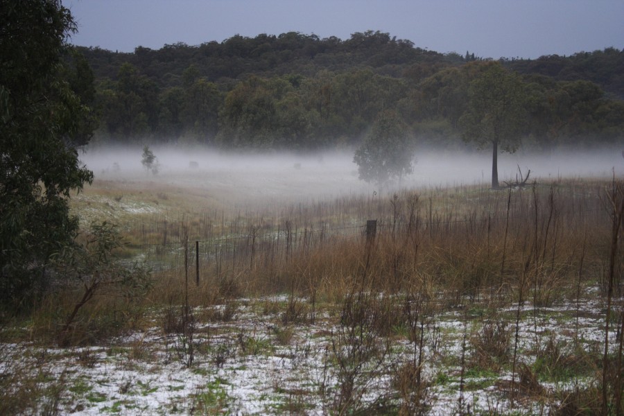 fogmist fog_mist_frost : NE of Mudgee, NSW   10 October 2008