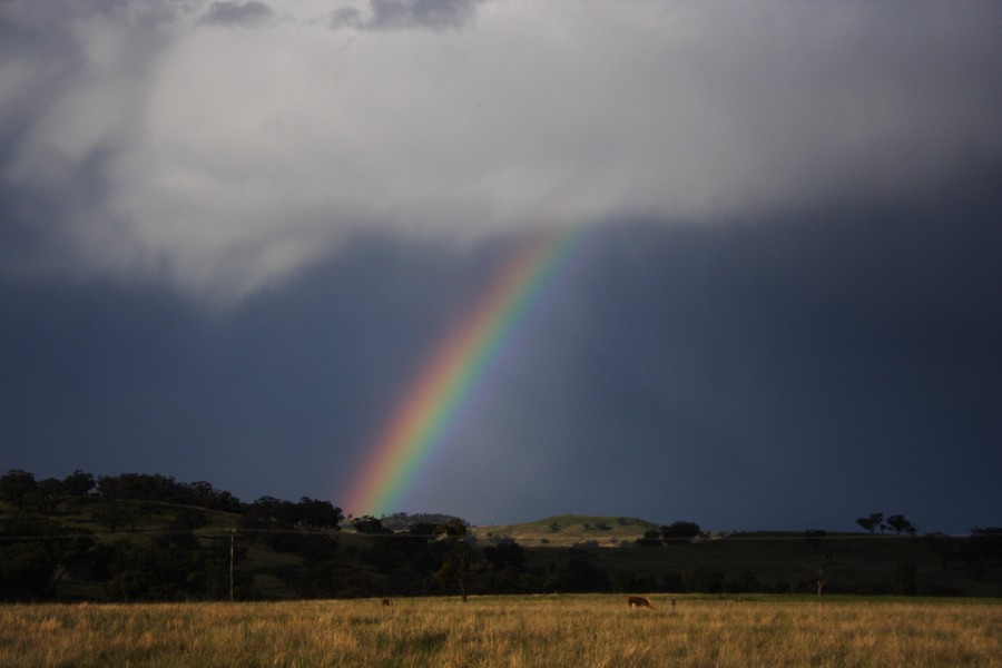 rainbow rainbow_pictures : E of Coolah, NSW   10 October 2008