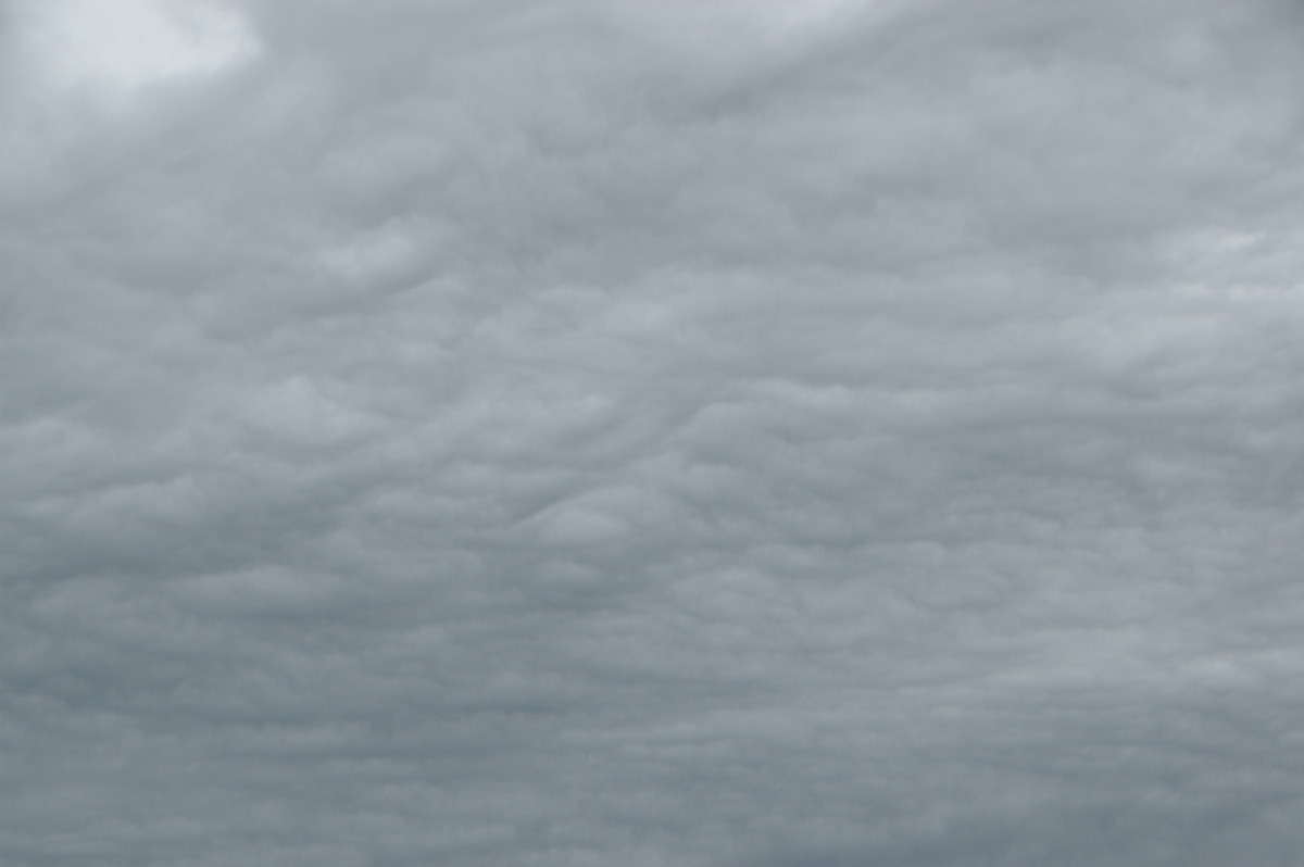 mammatus mammatus_cloud : McLeans Ridges, NSW   10 October 2008