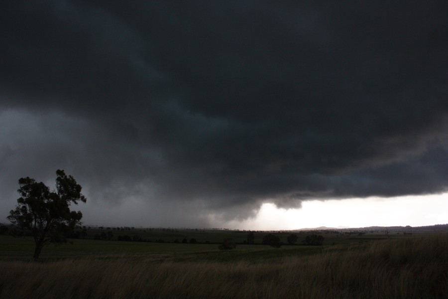 raincascade precipitation_cascade : E of Gunnedah, NSW   14 October 2008