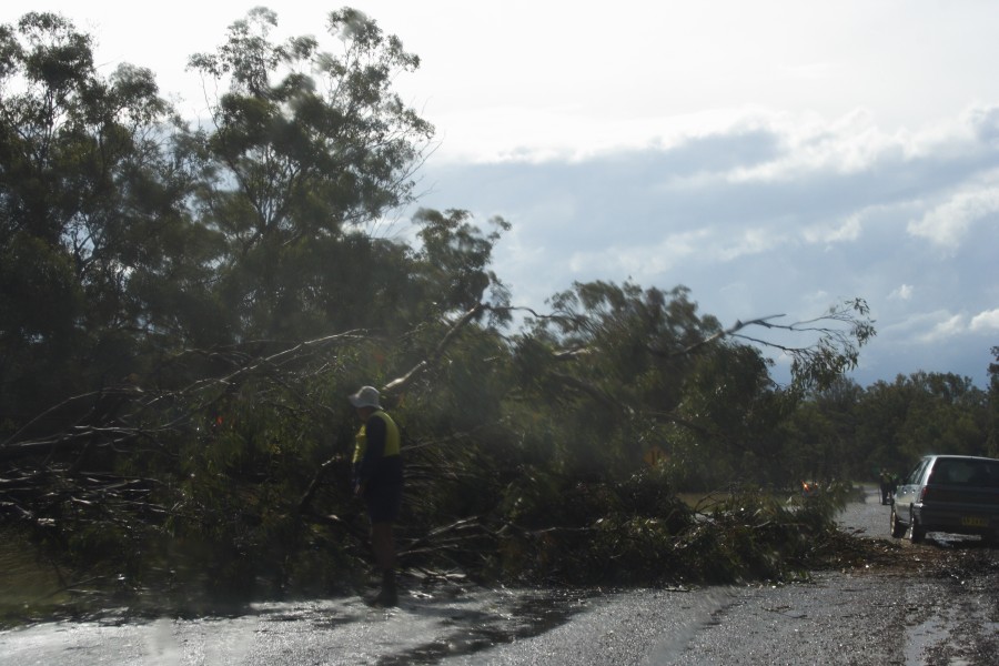 disasters storm_damage : S of Manilla, NSW   14 October 2008