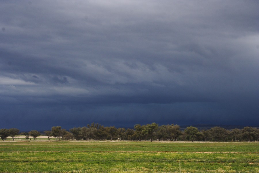 shelfcloud shelf_cloud : W of Manilla, NSW   14 October 2008