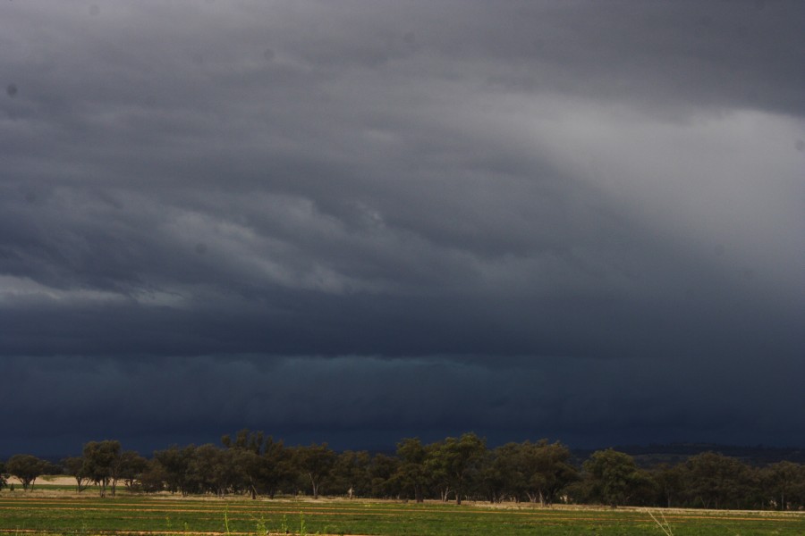 shelfcloud shelf_cloud : W of Manilla, NSW   14 October 2008