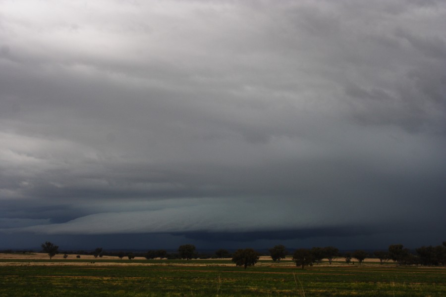 shelfcloud shelf_cloud : W of Manilla, NSW   14 October 2008