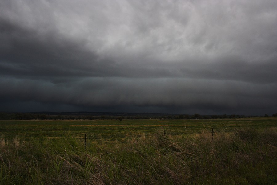 shelfcloud shelf_cloud : W of Manilla, NSW   14 October 2008