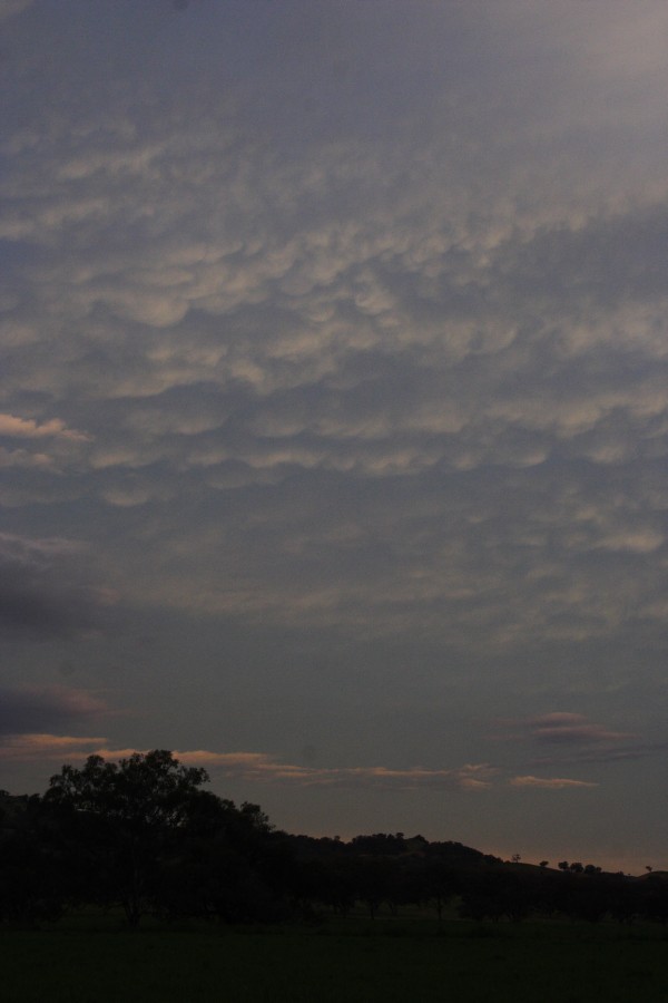 anvil thunderstorm_anvils : near Willow Tree, NSW   14 October 2008