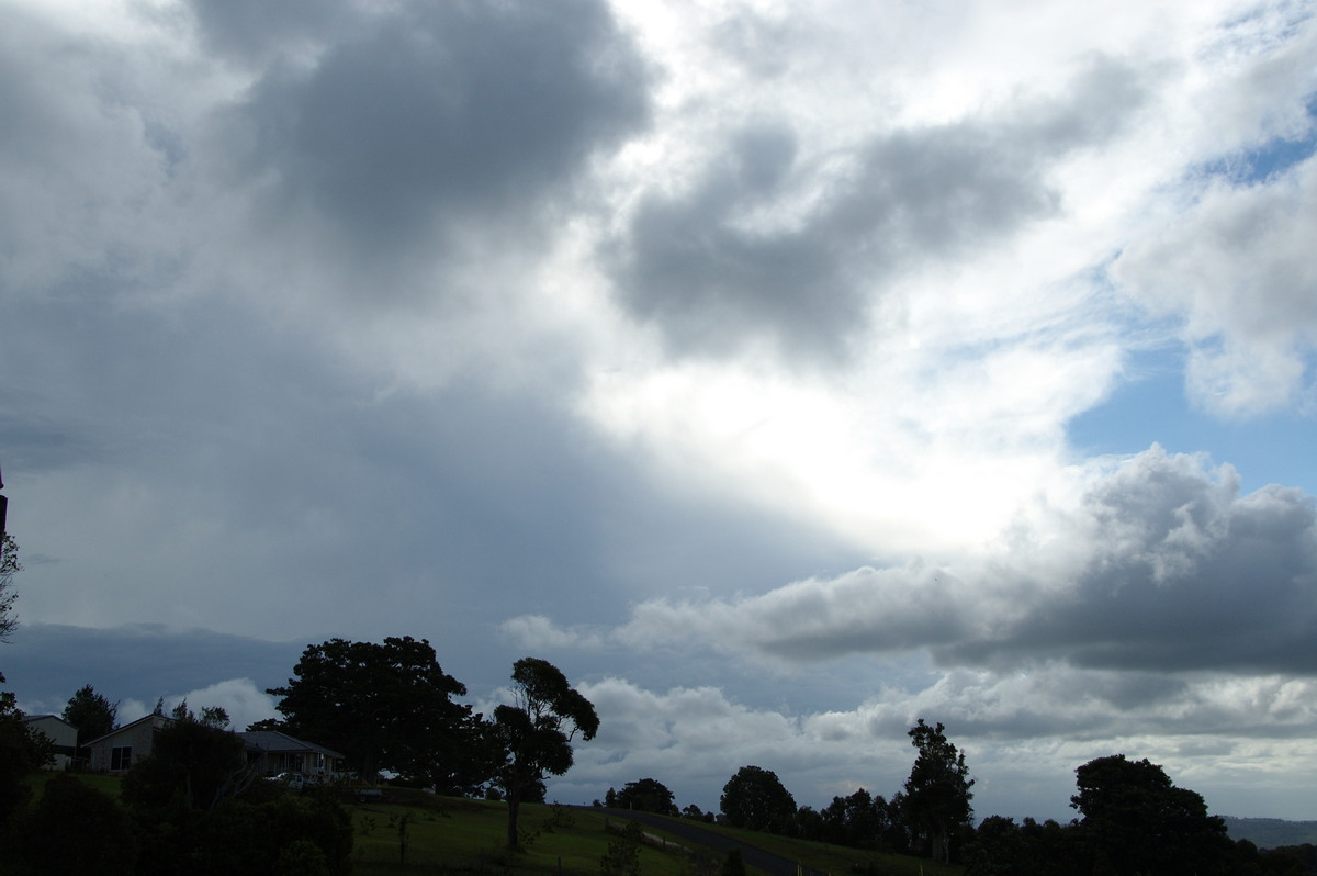 anvil thunderstorm_anvils : McLeans Ridges, NSW   15 October 2008