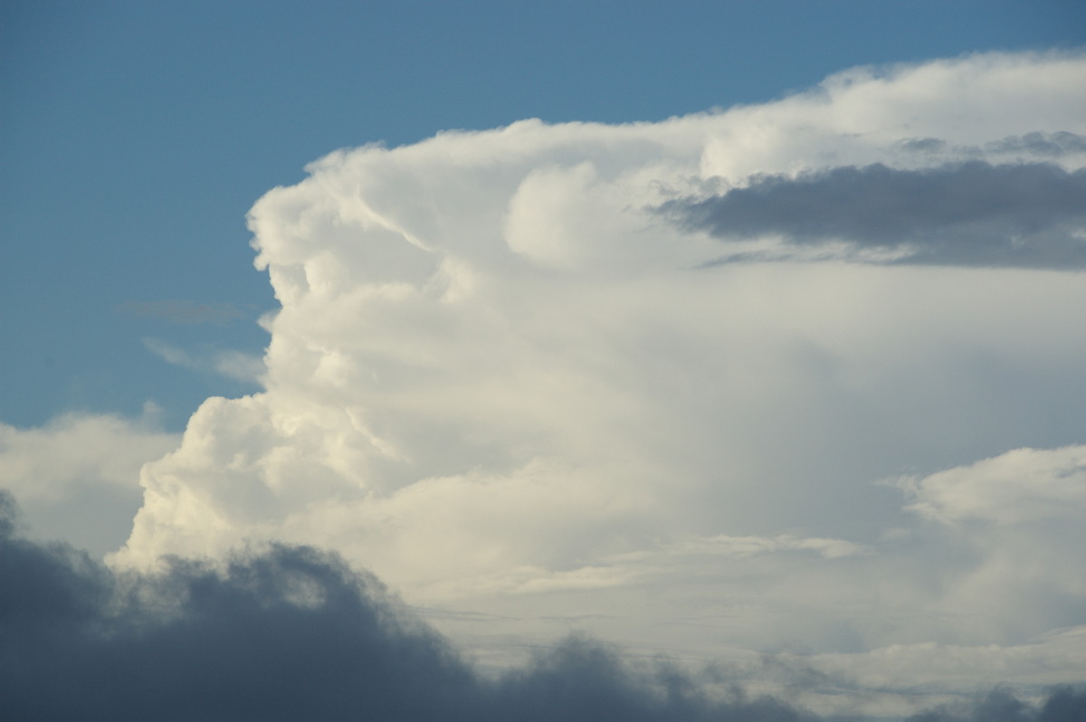 updraft thunderstorm_updrafts : McLeans Ridges, NSW   15 October 2008