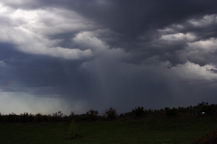 cumulonimbus thunderstorm_base : Glenorie, NSW   19 October 2008