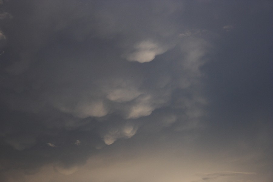 mammatus mammatus_cloud : Schofields, NSW   19 October 2008