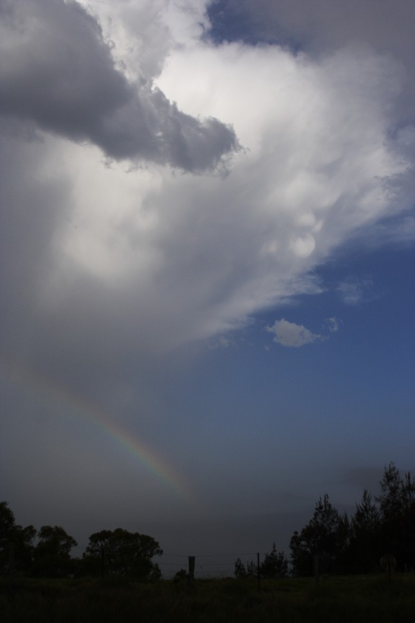 thunderstorm cumulonimbus_incus : Kurrajong, NSW   20 October 2008