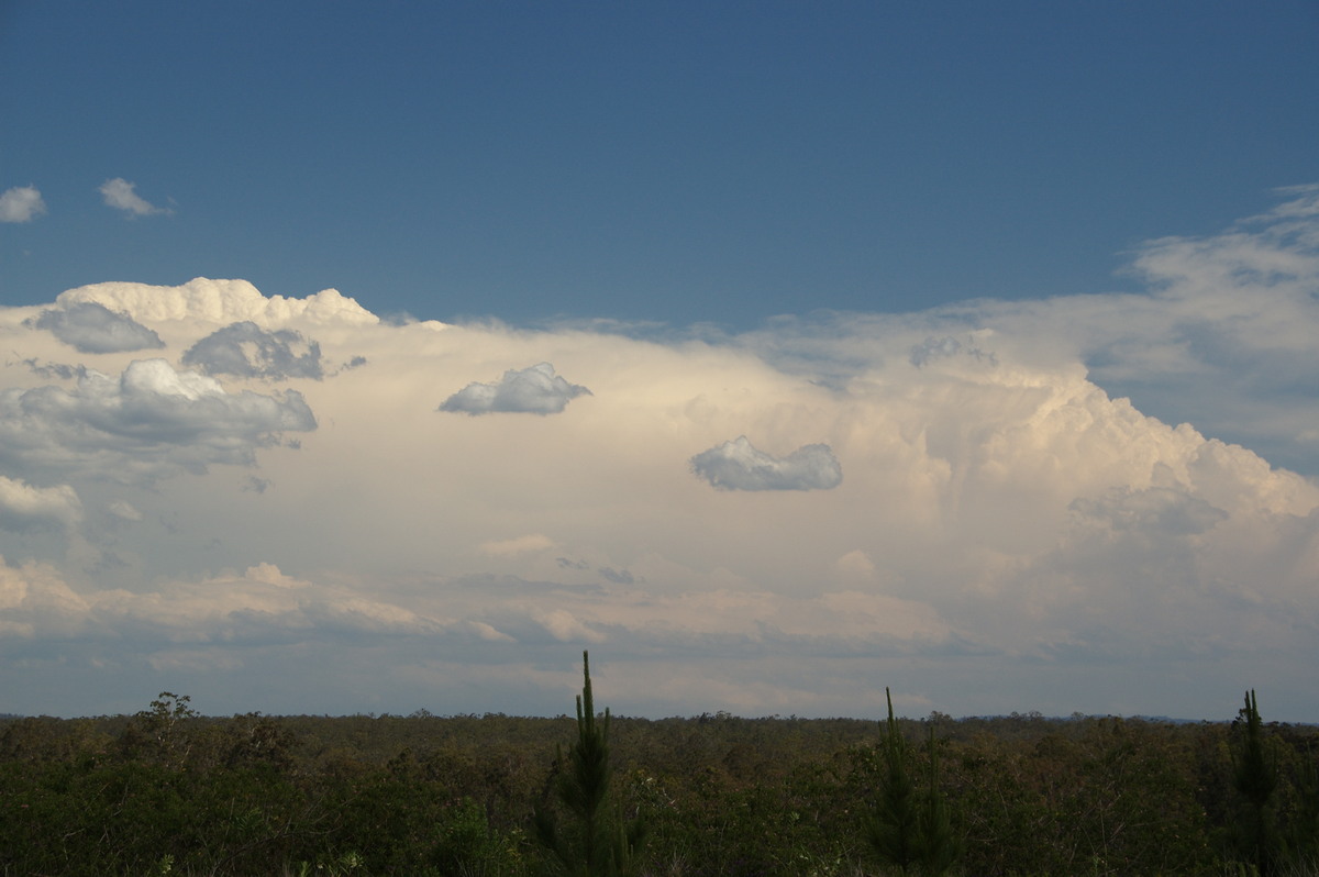 cumulonimbus supercell_thunderstorm : Whiporie, NSW   21 October 2008