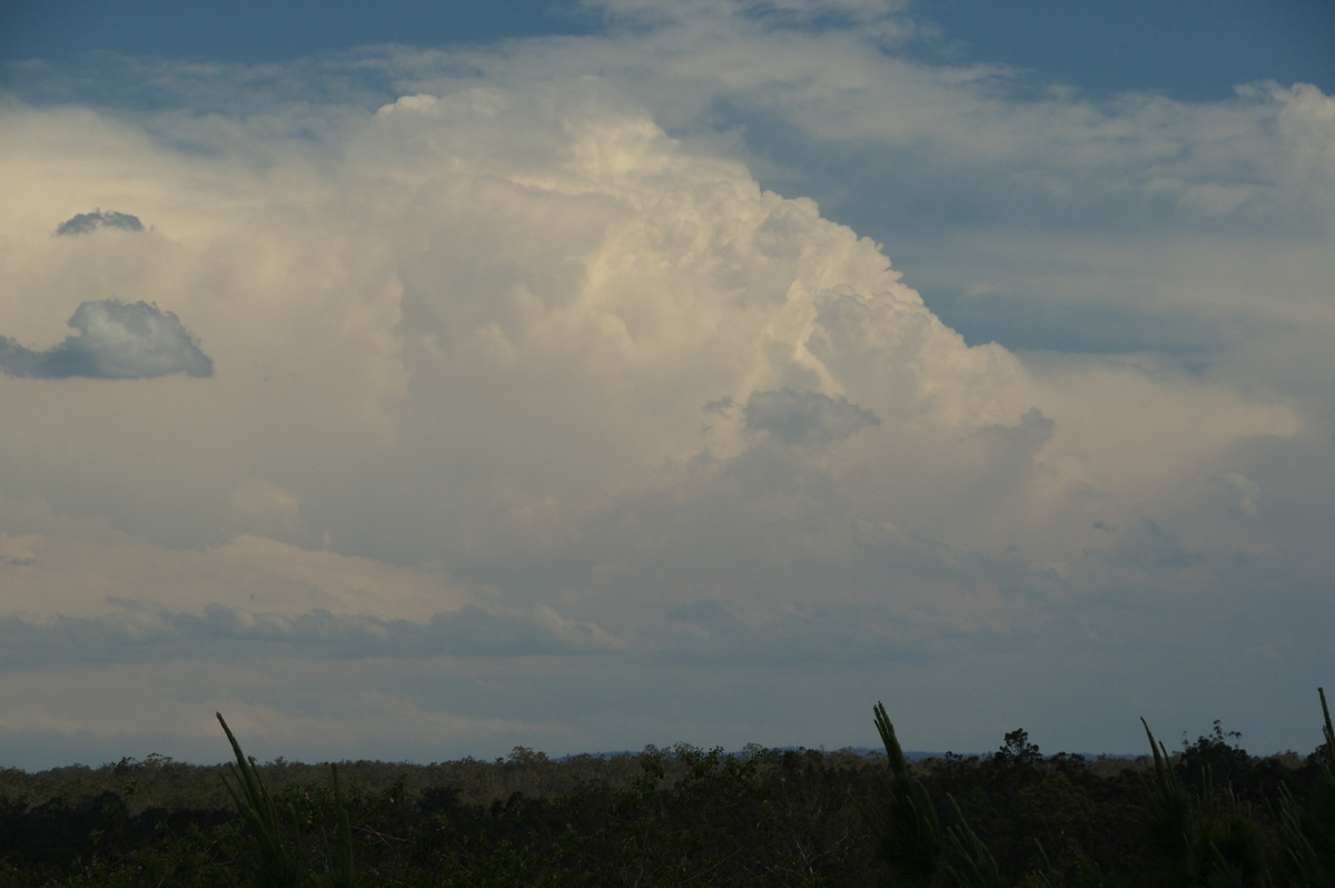 thunderstorm cumulonimbus_incus : Whiporie, NSW   21 October 2008