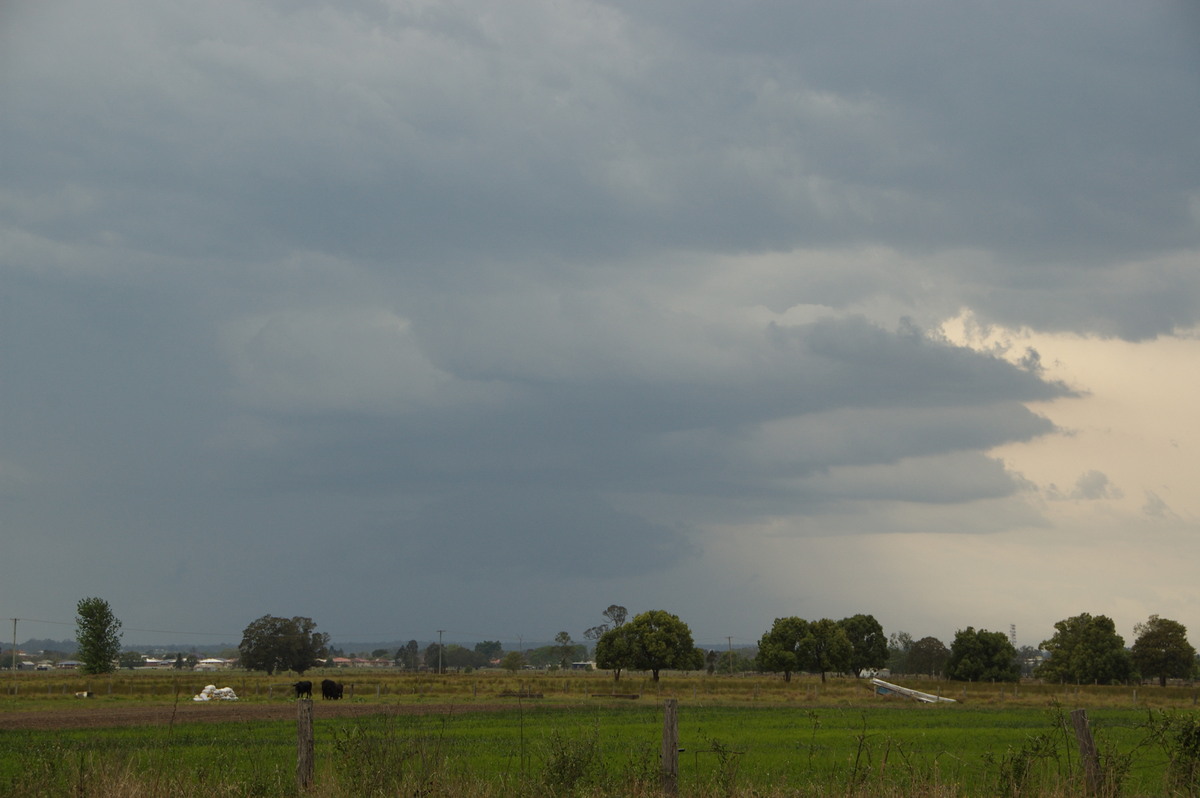 cumulonimbus thunderstorm_base : Junction Hill, NSW   21 October 2008