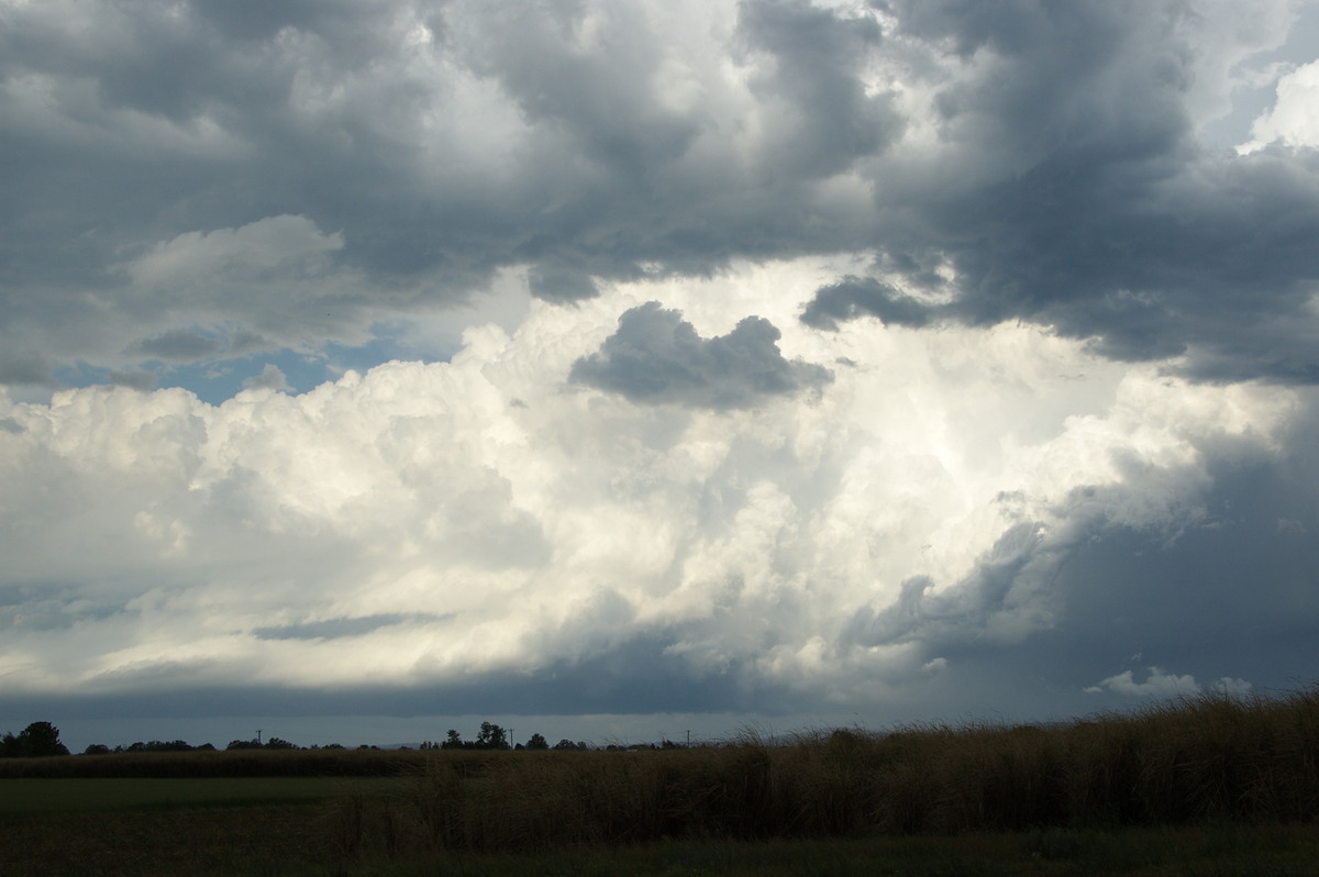 thunderstorm cumulonimbus_calvus : Cowper, NSW   21 October 2008