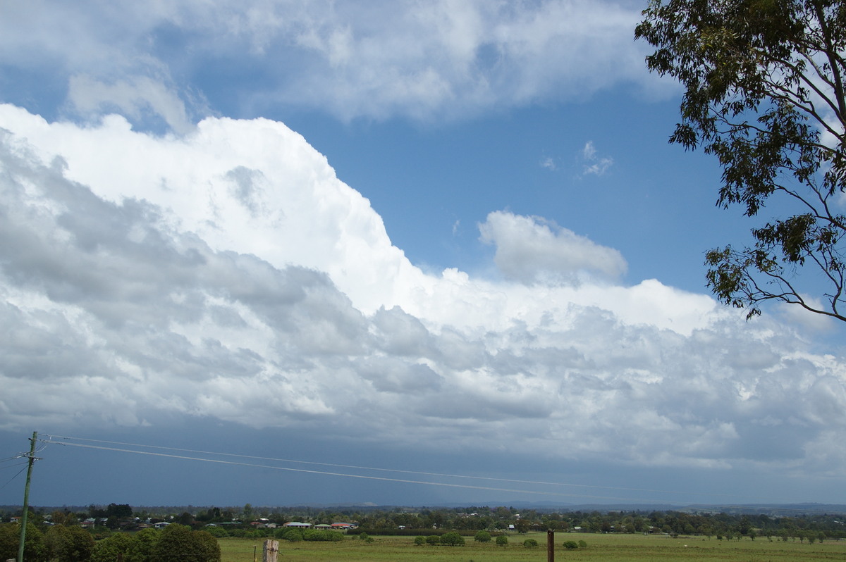 thunderstorm cumulonimbus_incus : Casino, NSW   22 October 2008