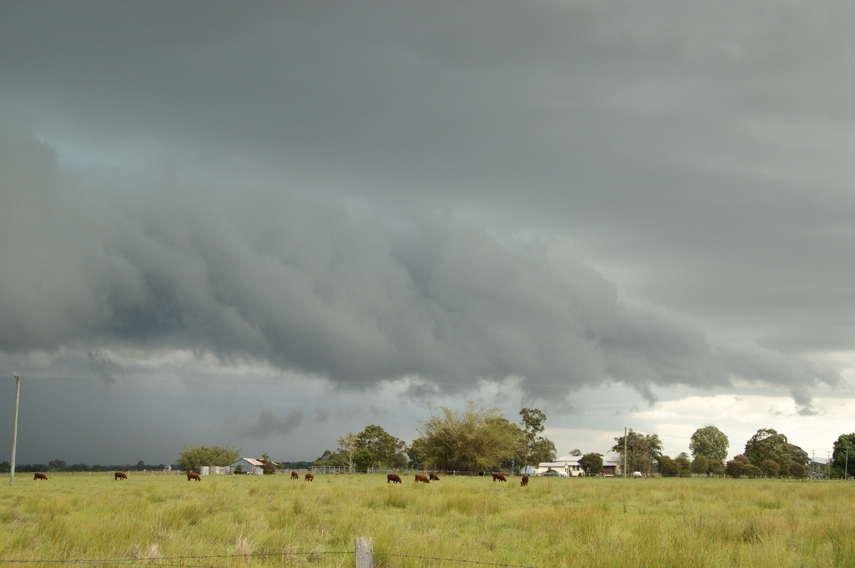 shelfcloud shelf_cloud : Clovass, NSW   22 October 2008