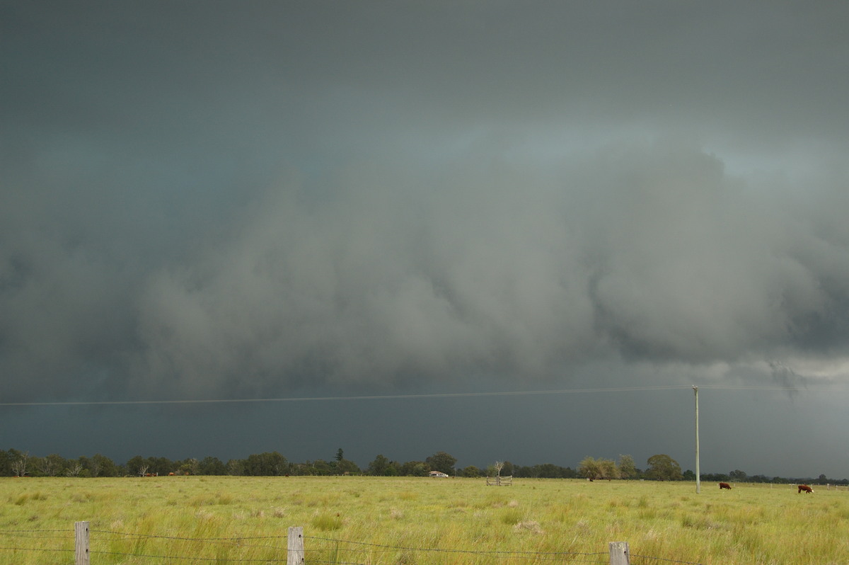 shelfcloud shelf_cloud : Clovass, NSW   22 October 2008