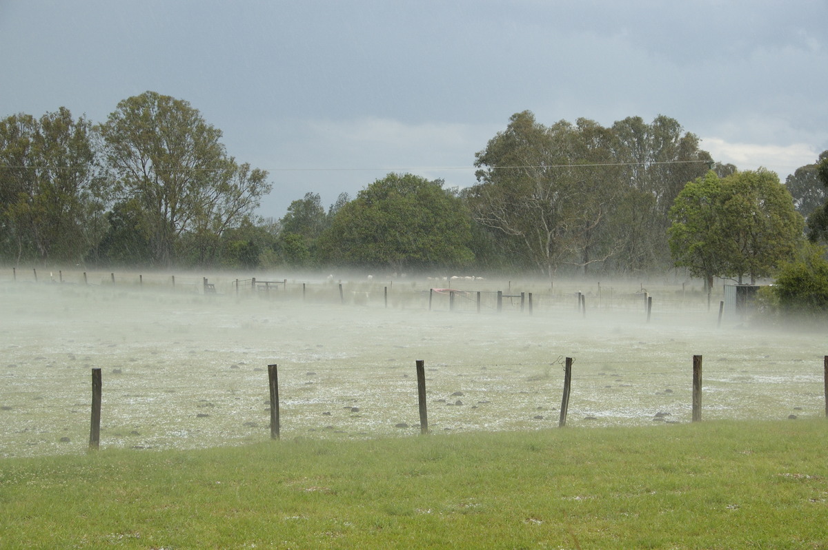 hailstones hail_stones : Clovass, NSW   22 October 2008