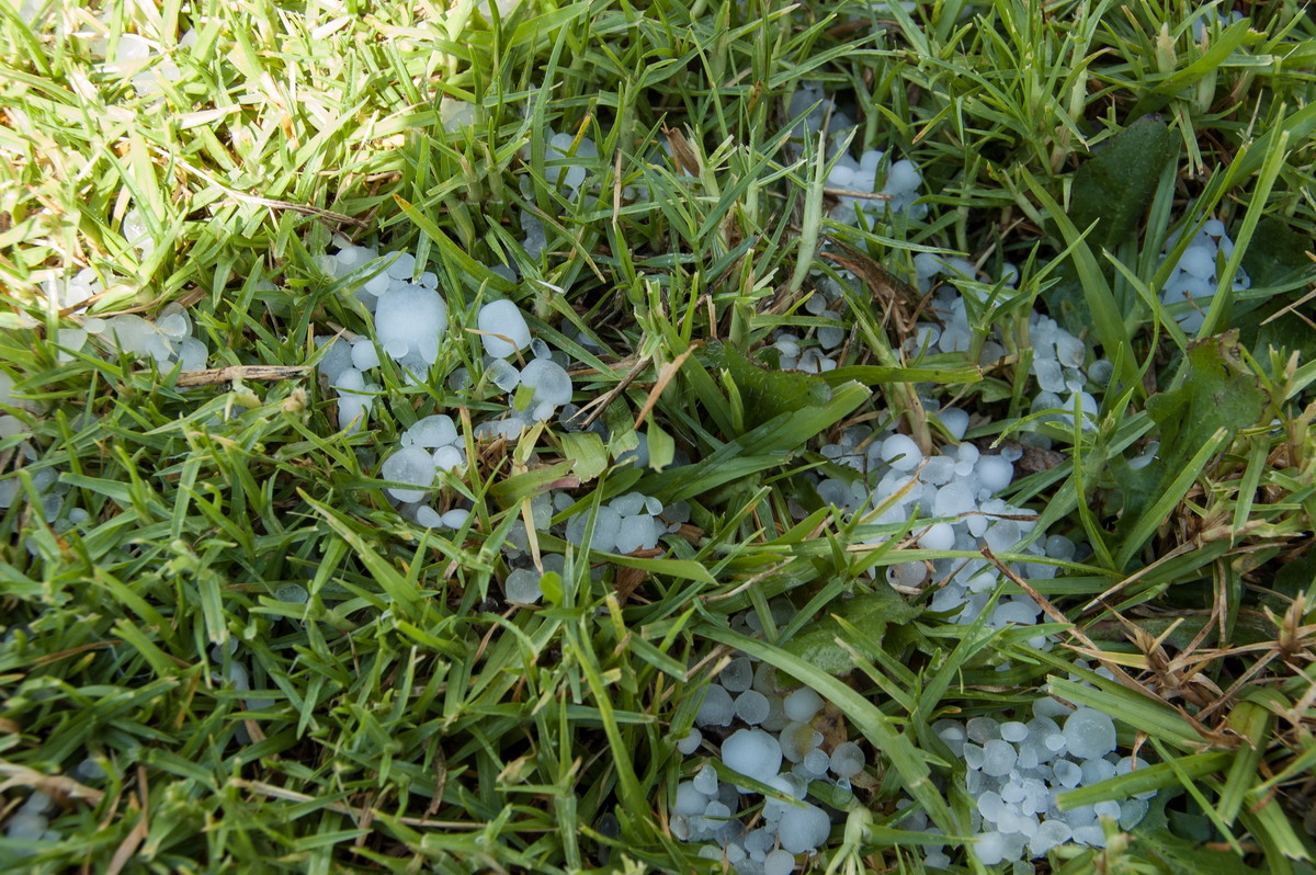 hailstones hail_stones : McLeans Ridges, NSW   22 October 2008