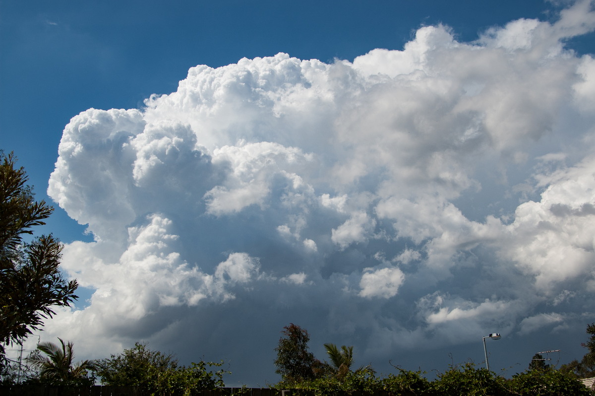 thunderstorm cumulonimbus_incus : Heritage Park, QLD   25 October 2008