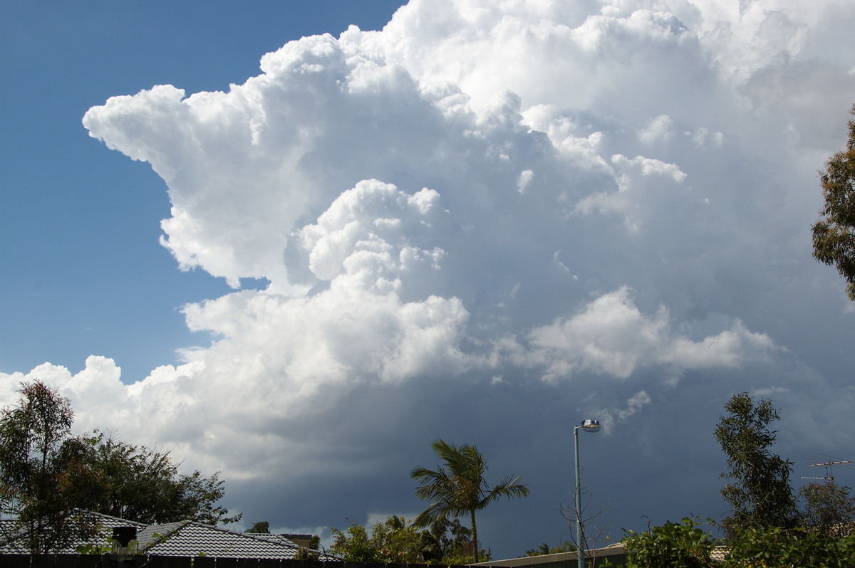 thunderstorm cumulonimbus_incus : Heritage Park, QLD   25 October 2008