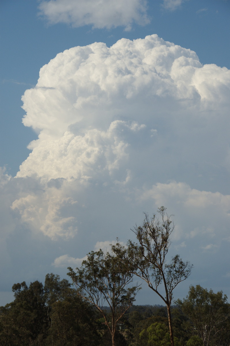 thunderstorm cumulonimbus_incus : Munruben, QLD   25 October 2008