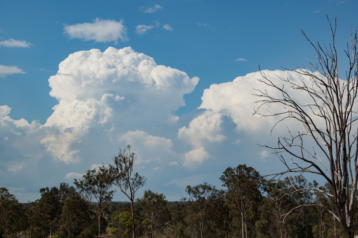 updraft thunderstorm_updrafts : Munruben, QLD   25 October 2008