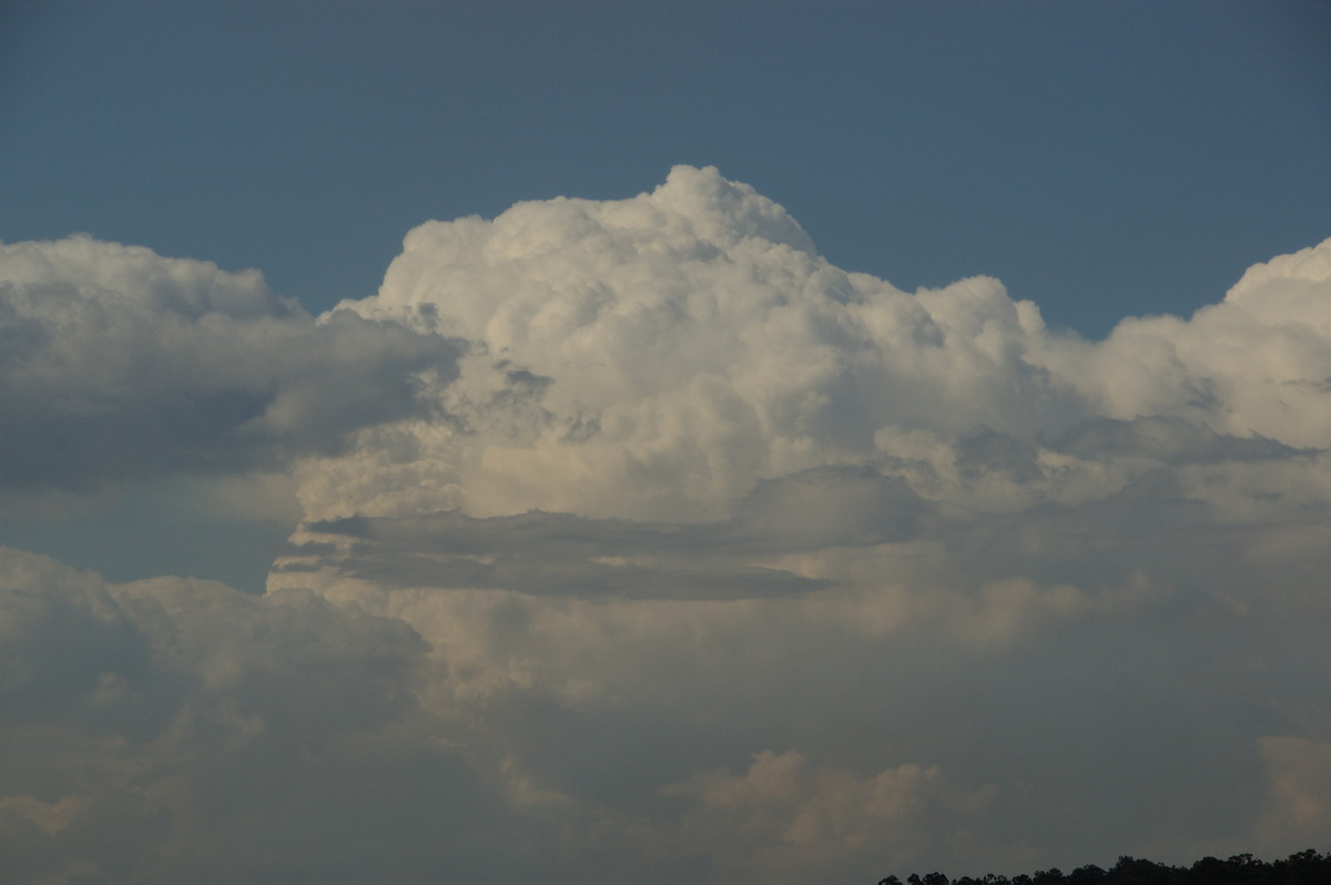 updraft thunderstorm_updrafts : near Beaudesert, QLD   25 October 2008