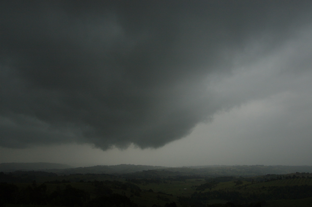 cumulonimbus thunderstorm_base : McLeans Ridges, NSW   8 November 2008